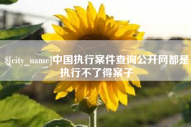攀枝花中国执行案件查询公开网都是执行不了得案子