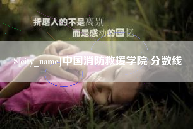攀枝花中国消防救援学院 分数线
