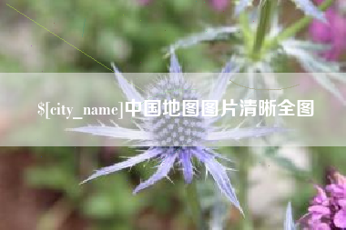 攀枝花中国地图图片清晰全图