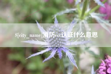 攀枝花消防ccc认证什么意思