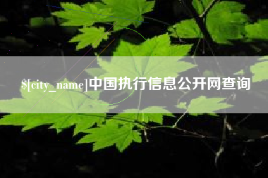 攀枝花中国执行信息公开网查询