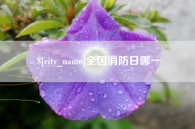 攀枝花全国消防日哪一