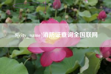 攀枝花消防证查询全国联网