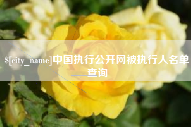 攀枝花中国执行公开网被执行人名单查询