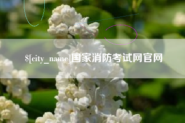 攀枝花国家消防考试网官网