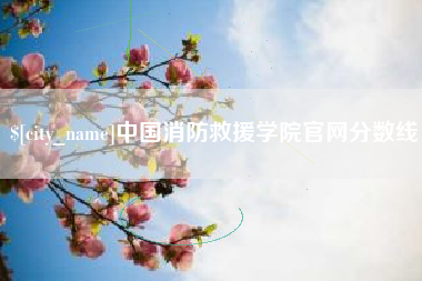 攀枝花中国消防救援学院官网分数线