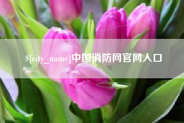 攀枝花中国消防网官网入口