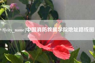 攀枝花中国消防救援学院地址路线图