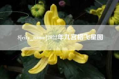 攀枝花2022年九宫格飞星图