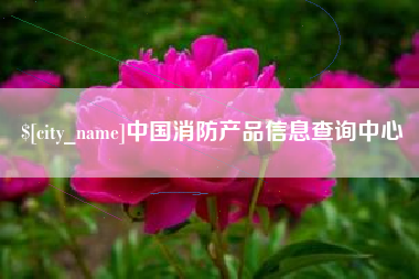 攀枝花中国消防产品信息查询中心