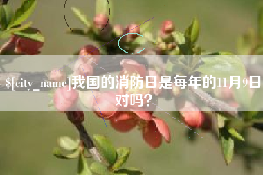 攀枝花我国的消防日是每年的11月9日对吗？