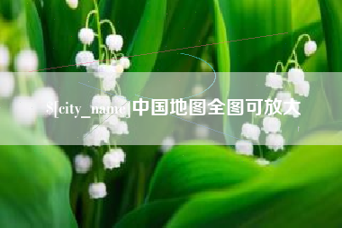 攀枝花中国地图全图可放大