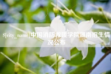 攀枝花中国消防救援学院湖南招生情况公布