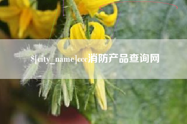 攀枝花ccc消防产品查询网