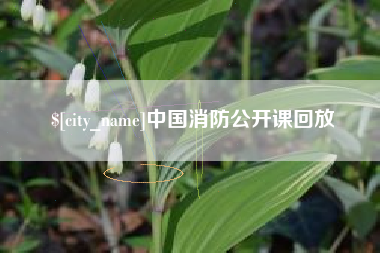 攀枝花中国消防公开课回放