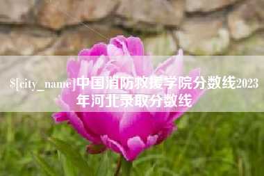 攀枝花中国消防救援学院分数线2023年河北录取分数线