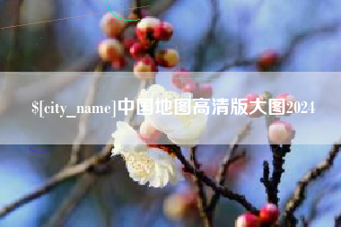 攀枝花中国地图高清版大图2024