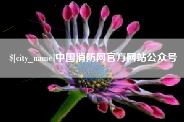 攀枝花中国消防网官方网站公众号