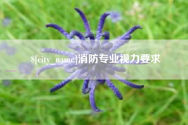 攀枝花消防专业视力要求