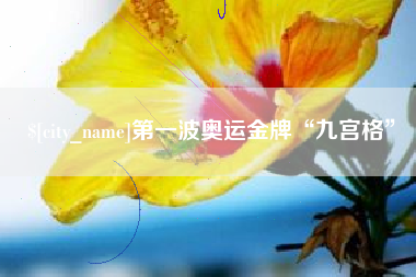 攀枝花第一波奥运金牌“九宫格”