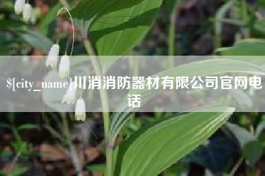 攀枝花川消消防器材有限公司官网电话