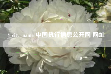 攀枝花中国执行信息公开网 网址