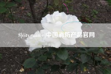 攀枝花中国消防产品官网