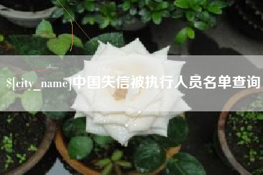 攀枝花中国失信被执行人员名单查询