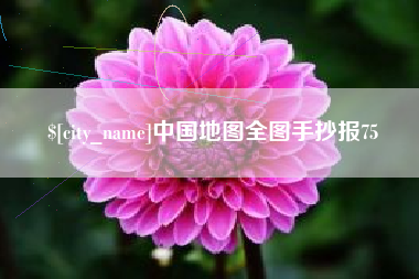攀枝花中国地图全图手抄报75