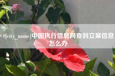 攀枝花中国执行信息网查到立案信息怎么办