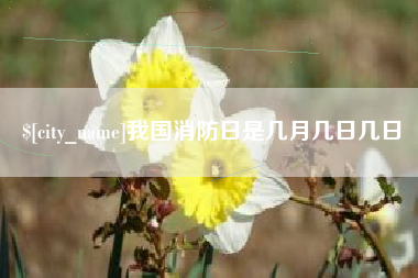 攀枝花我国消防日是几月几日几日