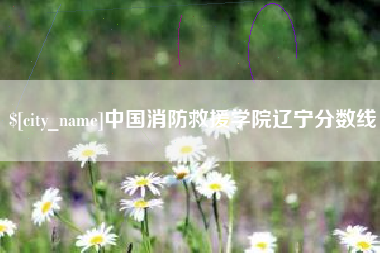 攀枝花中国消防救援学院辽宁分数线