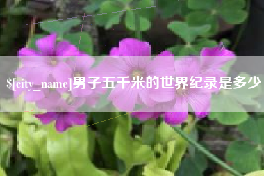 攀枝花男子五千米的世界纪录是多少
