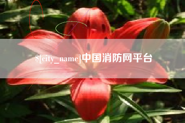 攀枝花中国消防网平台