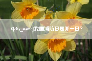 攀枝花我国消防日是哪一日？