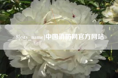 攀枝花中国消防网官方网站