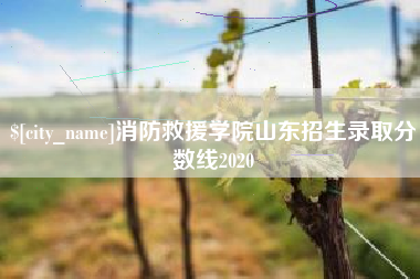 攀枝花消防救援学院山东招生录取分数线2020