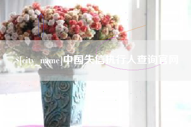 攀枝花中国失信执行人查询官网