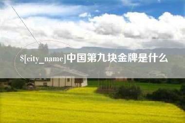 攀枝花中国第九块金牌是什么