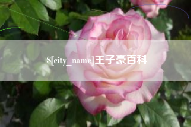 攀枝花王子豪百科