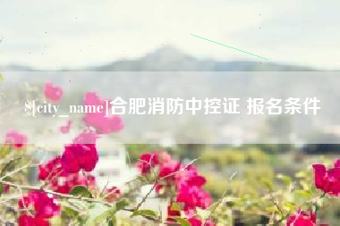 攀枝花合肥消防中控证 报名条件