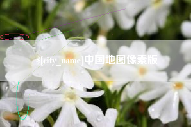 攀枝花中国地图像素版