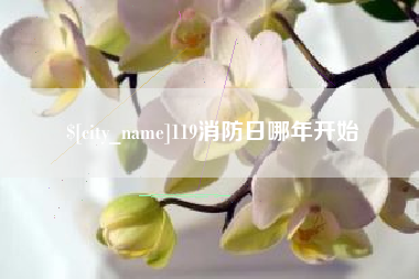 攀枝花119消防日哪年开始