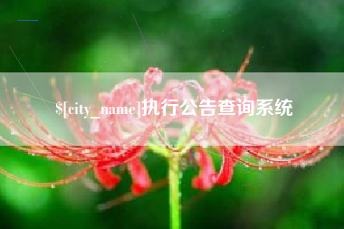 攀枝花执行公告查询系统