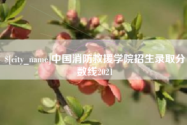 攀枝花中国消防救援学院招生录取分数线2021