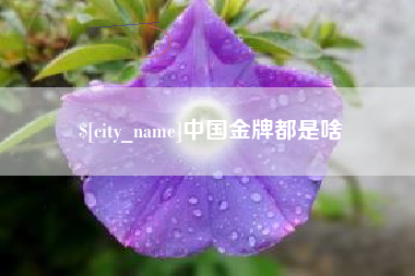 攀枝花中国金牌都是啥