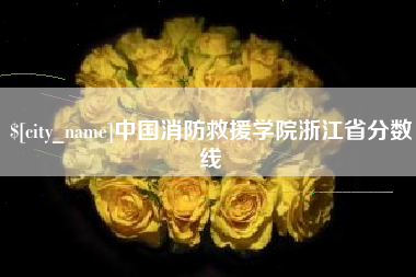 攀枝花中国消防救援学院浙江省分数线