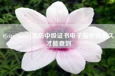 攀枝花消防中级证书电子版查询多久才能查到