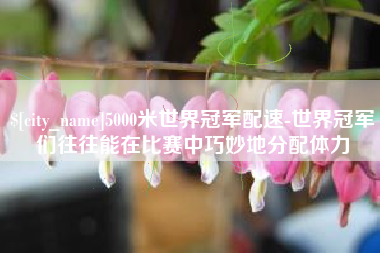 攀枝花5000米世界冠军配速-世界冠军们往往能在比赛中巧妙地分配体力