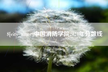 攀枝花中国消防学院2024年分数线